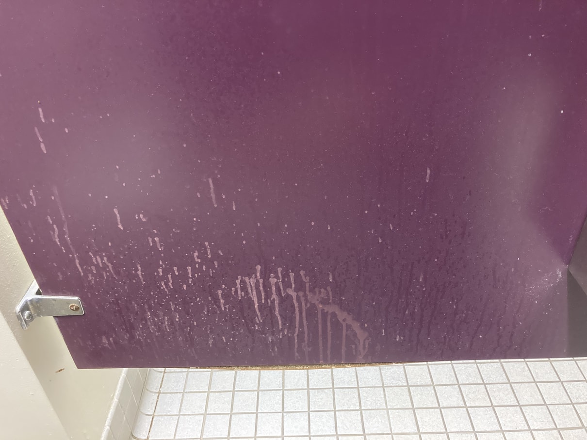 Photo of water stains on purple wall of bathroom stall.