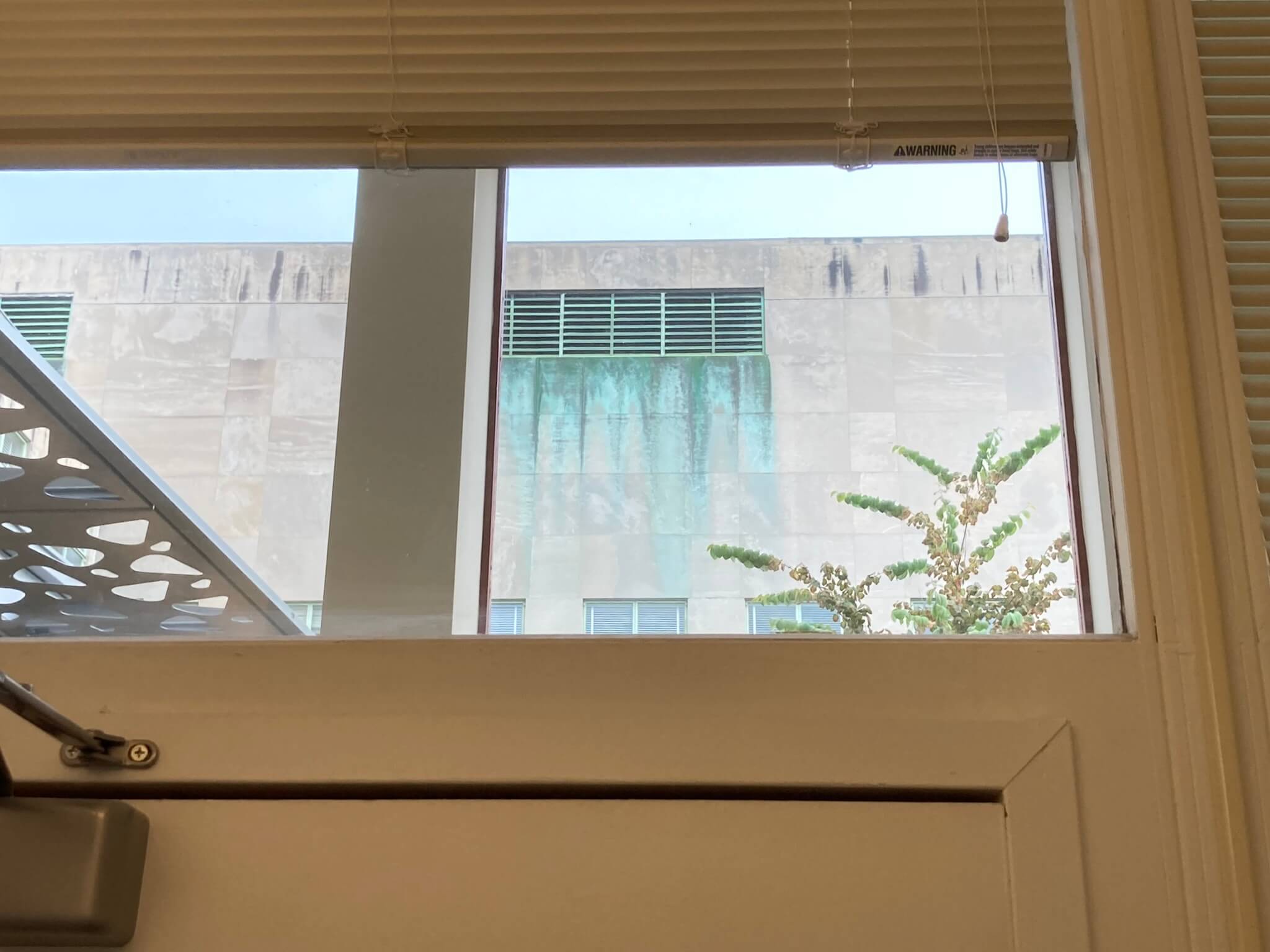 Photo of Hayden Library from the bathroom window. Green leakage from a water drain can be seen on the wall. It looks gross.