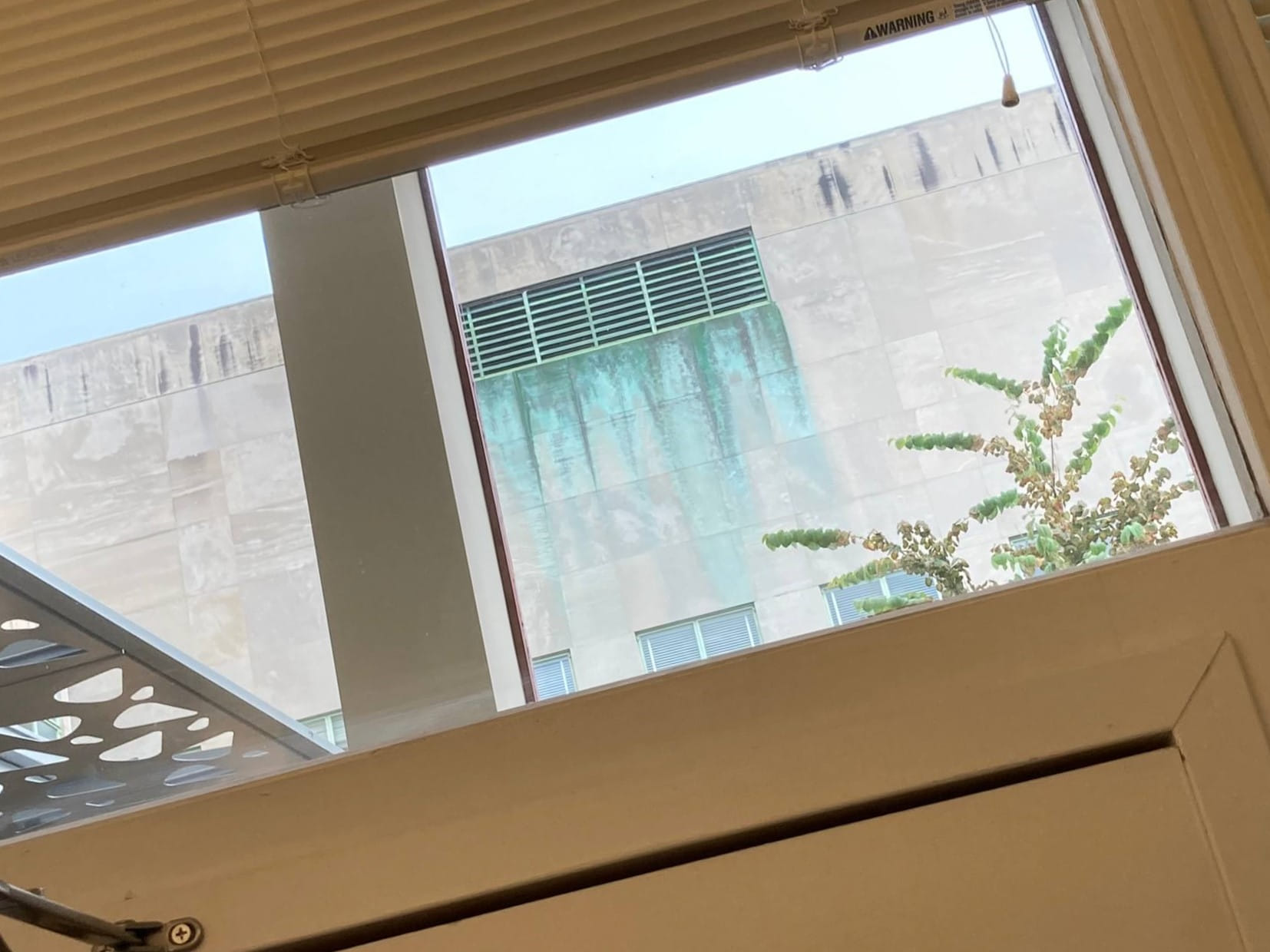 Photo of Hayden Library from the bathroom window. Green leakage from a water drain can be seen on the wall. It looks gross.